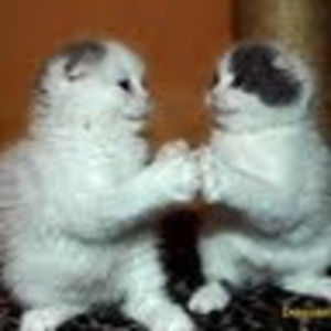 Meet your Posher, Ankita